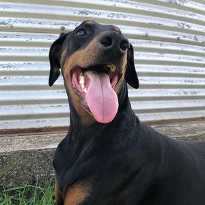 Meet your Posher, Soren